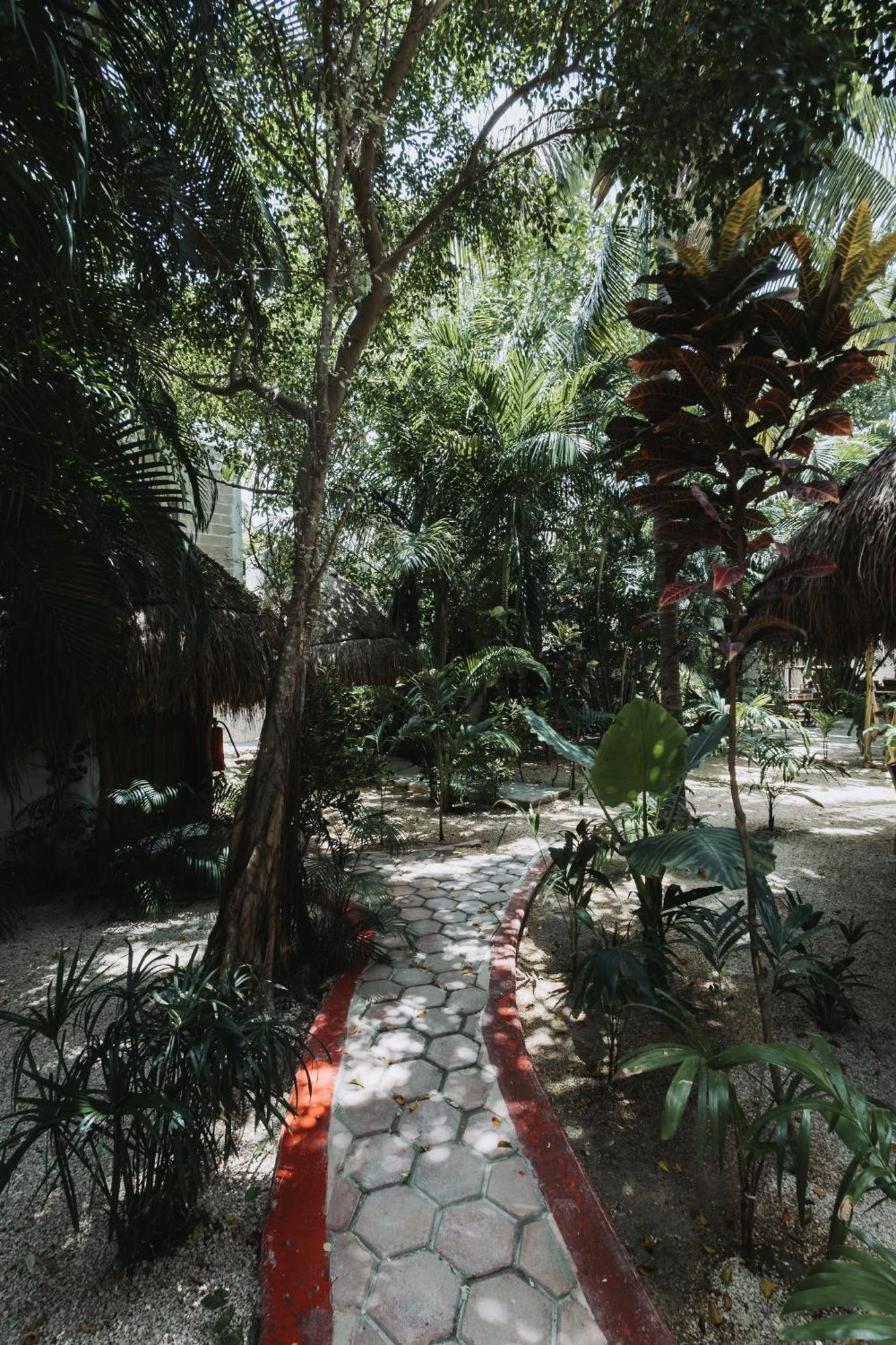 Hotel Casa Barbara Holbox Dış mekan fotoğraf